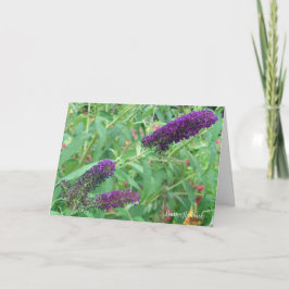 Tarjeta El amor es como una carta de felicitación de marip