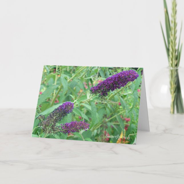 Tarjeta El amor es como una carta de felicitación de marip (Anverso)