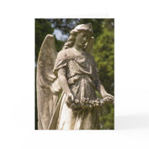 El ángel de Mary Annie