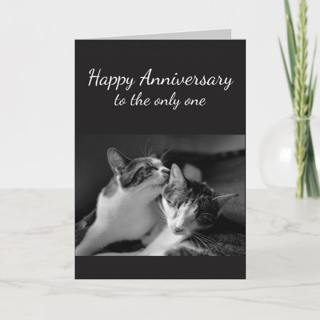 Tarjeta El aniversario amó un humor del gato (Anverso)