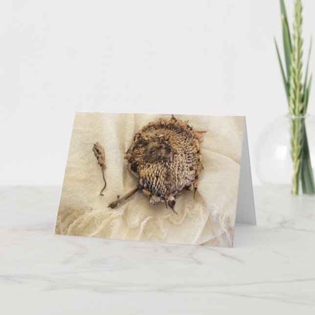 Tarjeta "El año pasado" Cabeza de girasol seco sobre el te (Anverso)