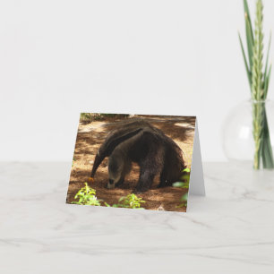 Tarjeta El Anteater