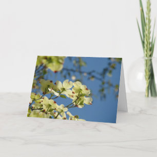 Tarjeta El árbol de Dogwood florece el cielo azul de las