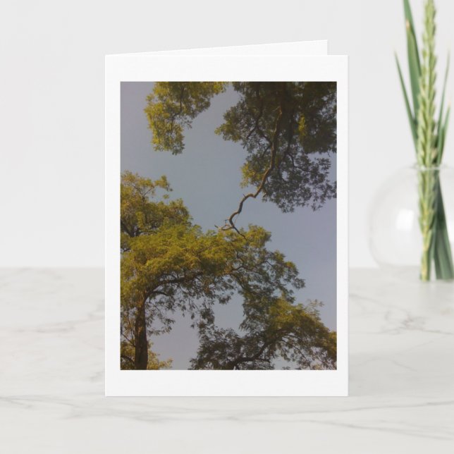 Tarjeta El árbol de la vida vive de largo y prospera (Anverso)