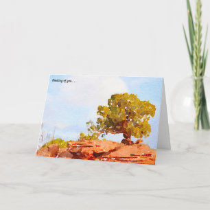 Tarjeta El árbol de pino de Pinyon solitario en la compasi