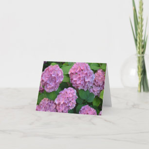 Tarjeta El arbusto de hortensia hidrangea rosa