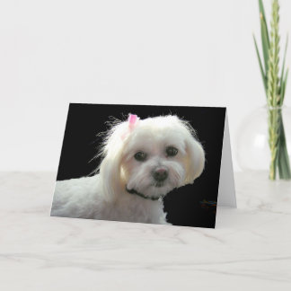 Tarjeta El arco rosado de Muffy