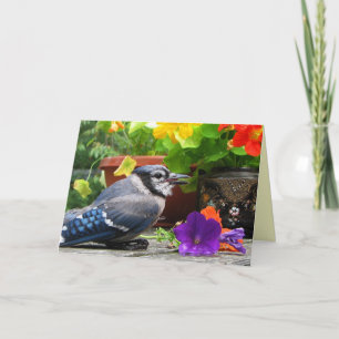 Tarjeta El arrendajo azul florece el día de madre
