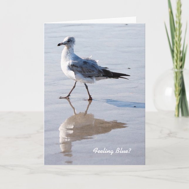 Tarjeta El azul de sensación, faltándole carda (Anverso)