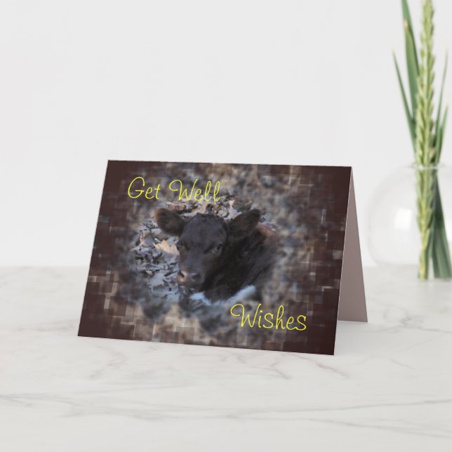 Tarjeta El becerro 5896 de Quincy Pinzgauer - haga (Anverso)