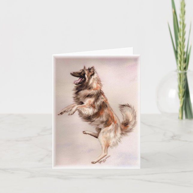 Tarjeta ¡El belga Tervuren salta! (Anverso)
