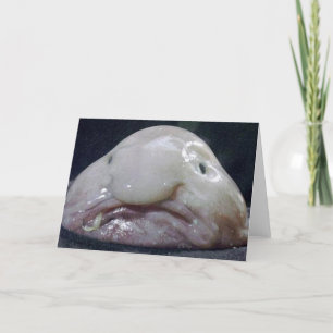 Tarjeta El Blobfish