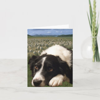 Tarjeta El border collie soña Notecard