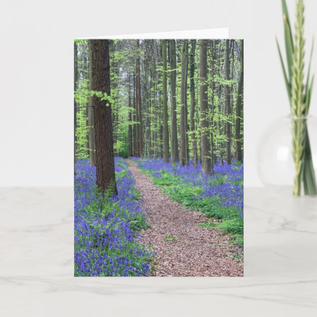 Tarjeta El bosque de Halle el | Halle, Bélgica (Anverso)