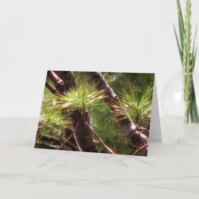 Tarjeta El bosque despertado (Anverso)