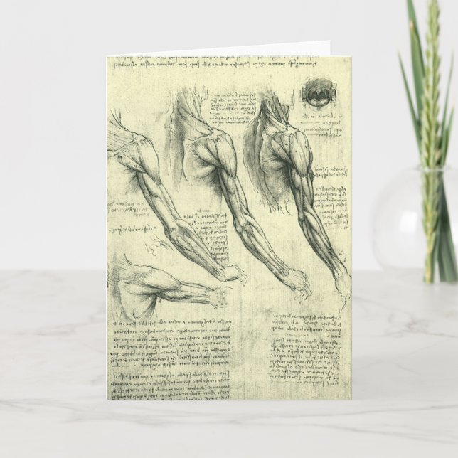 Tarjeta El brazo y la anatomía de hombros de Leonardo da V (Anverso)