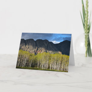 Tarjeta El Brazos en New México