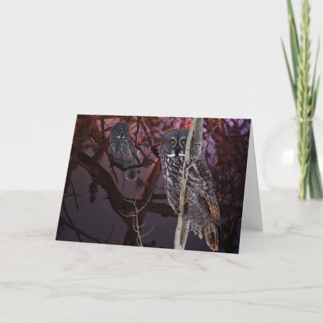 Tarjeta El búho de gran gris majestuoso (Anverso)