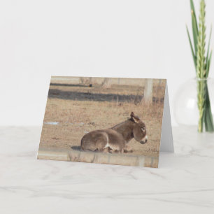 Tarjeta El Burro Solitario