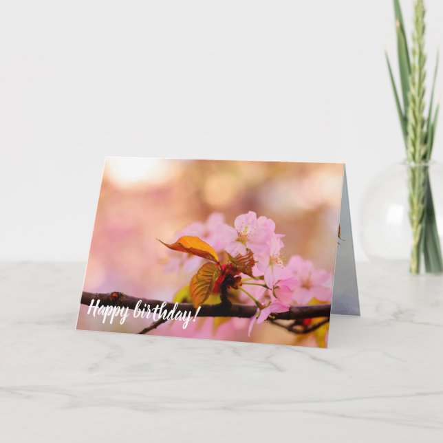 Tarjeta El Cálido De Las Flores De Sakura En Primavera (Anverso)
