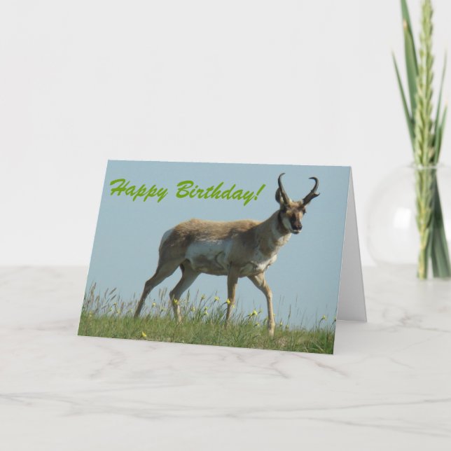 Tarjeta El caminar del antílope de A10 Pronghorn lanzó (Anverso)