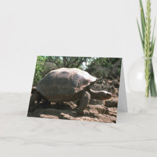 Tarjeta El caminar en forma de cúpula gigante de la