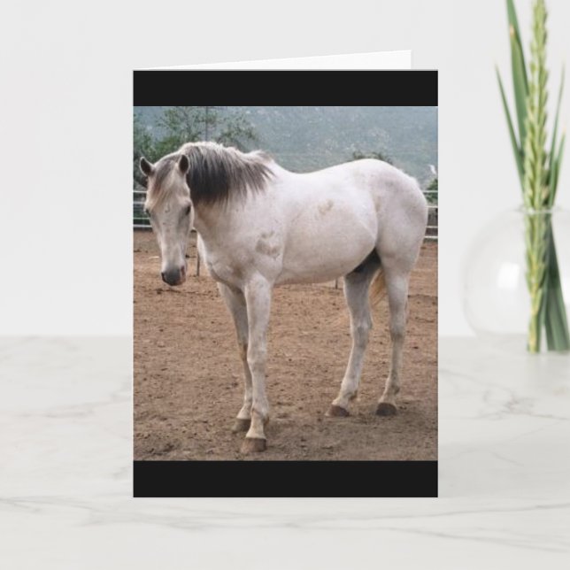 Tarjeta El camino de los jugadores (Anverso)