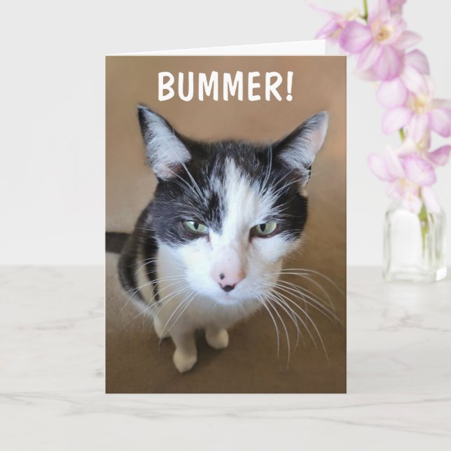 Tarjeta El cáncer es un desastre (Orquídea)