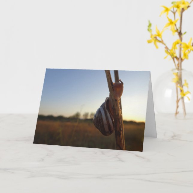 Tarjeta El caracol en un stem (flor amarilla)