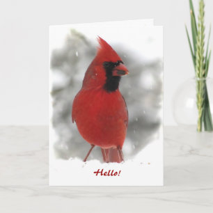 Tarjeta El Cardenal Pensando en ti
