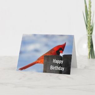 Tarjeta El cardenal rojo en Wooden Studen Happy Birday