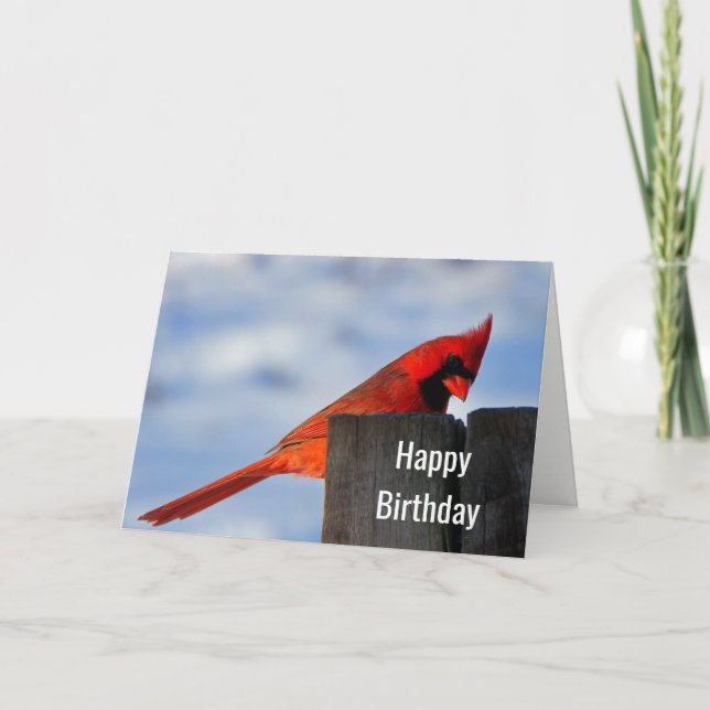 Tarjeta El cardenal rojo en Wooden Studen Happy Birday (Anverso)