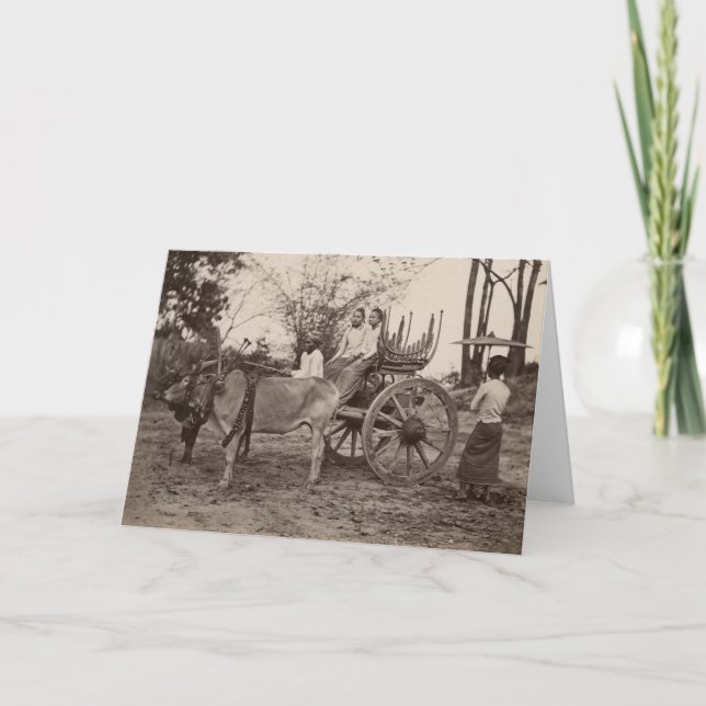 Tarjeta El carro tiró por dos bueyes en Mandalay, Birmania (Anverso)