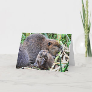 Tarjeta El castor del bebé y la foto familiar