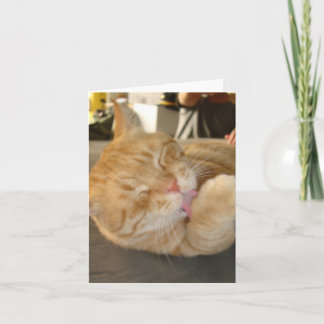 TARJETA EL CAT OBSERVA CARD-BLANK
