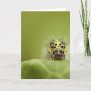Tarjeta el catapillar hambriento