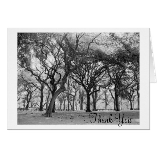 Tarjeta El Central Park le agradece