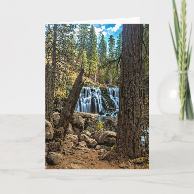 Tarjeta El CENTRO CAE EN el RÍO de McCLOUD (Anverso)