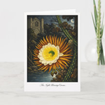 El Cereus de Floración Nocturna — Reinterpretación