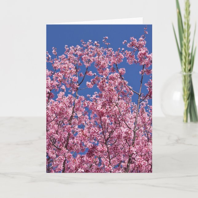 Tarjeta El cerezo Sakura florece en el azul (Anverso)