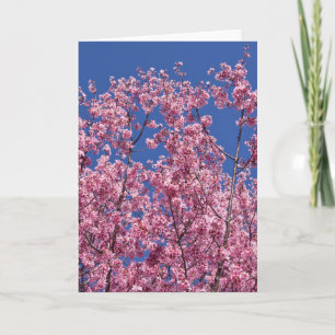 Tarjeta El cerezo Sakura florece en el azul