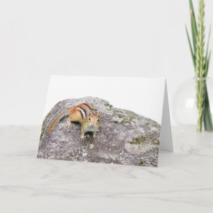 Tarjeta El chipmunk