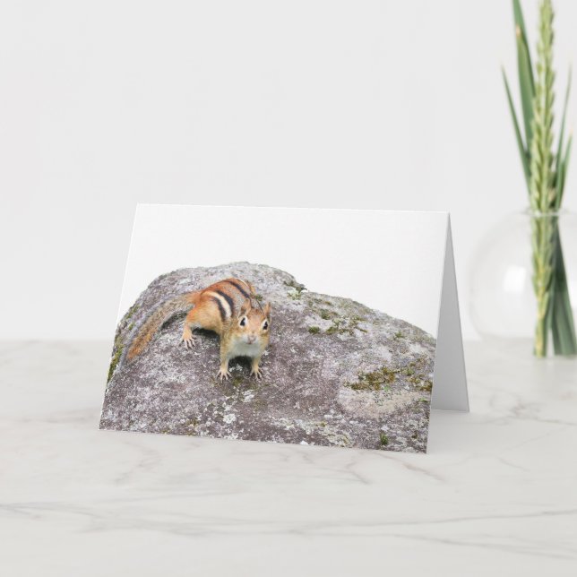 Tarjeta El chipmunk (Anverso)