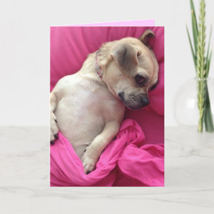Tarjeta El Chug lindo del perro de perrito en rosa cubre