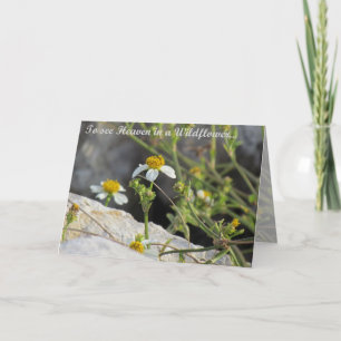 Tarjeta El cielo en una flor silvestre