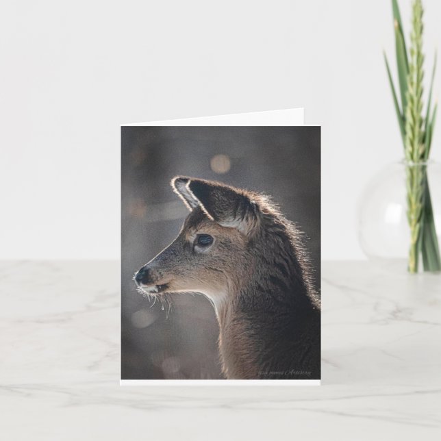 Tarjeta El ciervo bebé con las orejas más puras concentrán (Anverso)