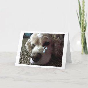 TARJETA EL CÓCKER DE OJOS LÁGRIMOS SPANIEL DICE "TE ECHO M