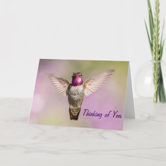 Tarjeta El colibrí rosado que piensa abiertamente sobre ti (Anverso)