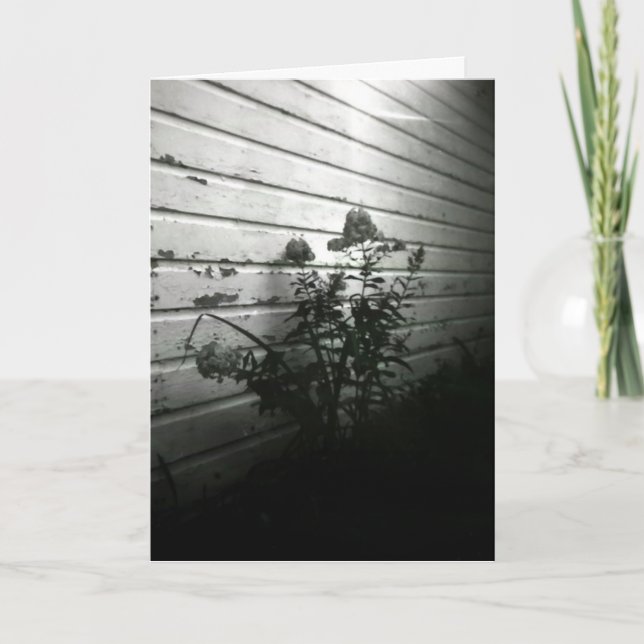 Tarjeta El corazón pide placer primero (Anverso)