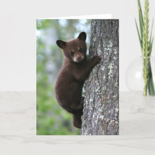 Tarjeta El cubo del oso sube un árbol